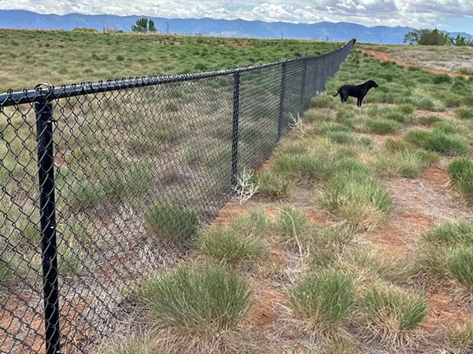 Bayfield CO Chain Link Fences