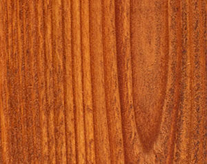 Fence Stain Contractor in Southwest Colorado