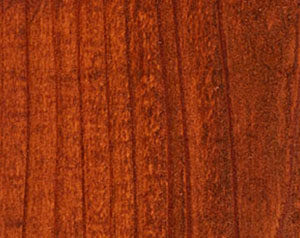 Fence Stain Contractor in Southwest Colorado